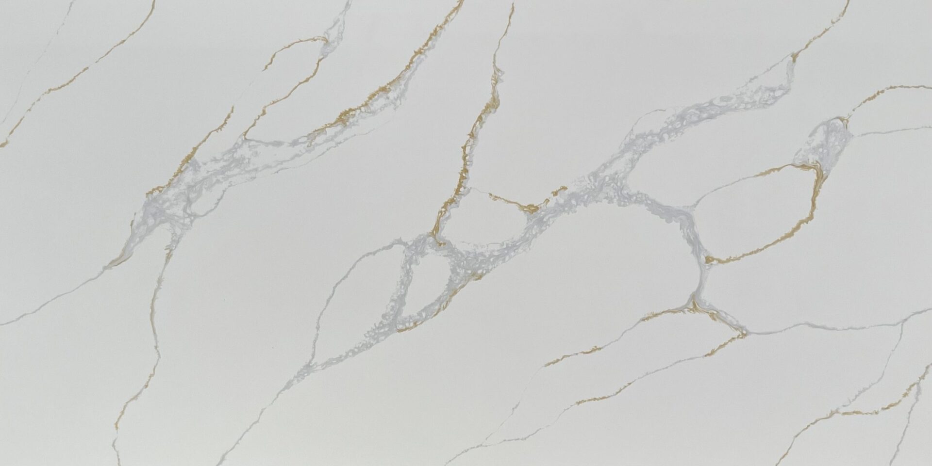 Gold Feather - Group 3